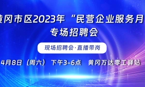 【直播带岗】2023年民营企业服务月 万达广场专场招聘会