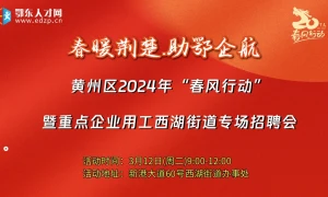 黄州区2024年“春风行动”暨重点企业用工西湖街道专场招聘会