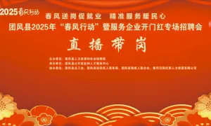 【直播】团风县2025年“春风行动”暨服务企业开门红专场招聘会
