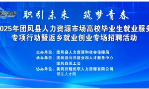 2025年团风县人力资源市场高校毕业生就业服务专项行动暨返乡就业创业专场招聘活动