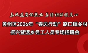 黄州区2026年“春风行动”路口镇乡村振兴暨返乡务工人员专场招聘会