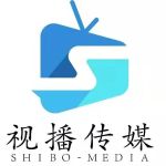 湖北视播文化传媒有限公司