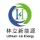 林立新能源科技有限公司的logo