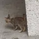 李女士的个人头像