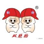 黄冈双胞胎食品有限公司