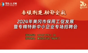 春暖荆楚·助鄂企航  2024年黄冈市保用工促发展暨专精特新中小企业专场招聘会