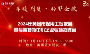 2024年黄冈市保用工促发展  暨专精特新中小企业专场招聘会