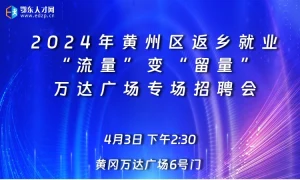 2024年黄州区返乡就业“流量”变“留量‘’万达广场专场招聘会