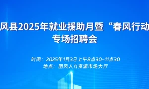 团风县2025年就业援助月暨“春风行动” 专场招聘会
