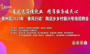 黄州区2025年“春风行动”陶店乡乡村振兴专场招聘会