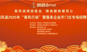 团风县2025年“春风行动”暨服务企业开门红专场招聘会